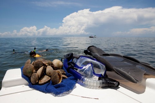 A snorkel set and a pile of clams on a boat, with a person swimming in the water under a blue sky.
