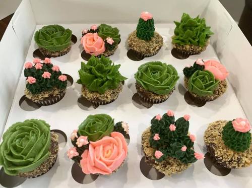 A box of decorative cupcakes featuring floral and succulent designs in green and pink colors.