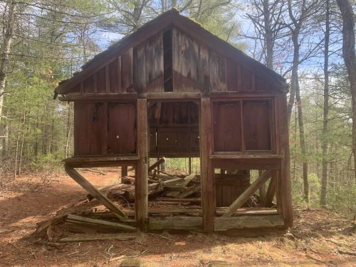 An old, weathered wooden cabin with a partially collapsed structure, surrounded by trees and forest undergrowth.
