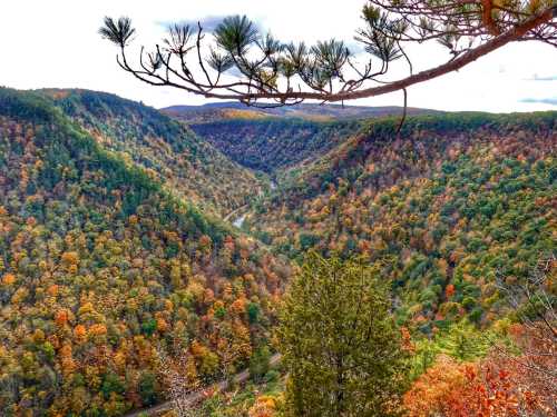 A scenic view of a valley surrounded by colorful autumn foliage and a winding river below.