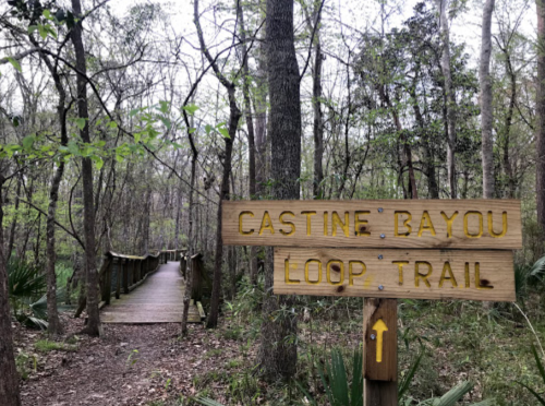 Wooden sign for Castine Bayou Loop Trail with a bridge in the background, surrounded by trees and greenery.