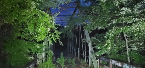 A dimly lit, overgrown bridge surrounded by dense trees at night, with a hint of blue sky visible above.