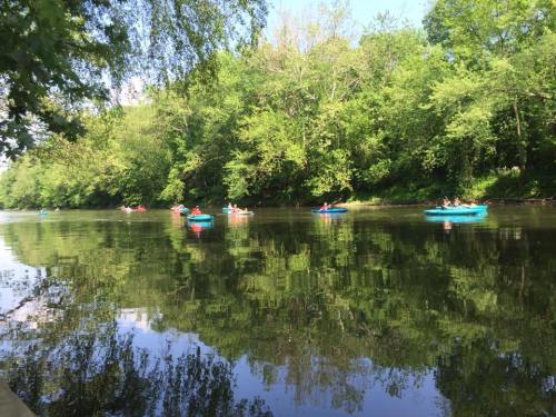 A serene river scene with kayakers paddling among lush green trees, reflecting in the calm water.