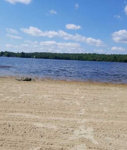 A sandy beach with calm water and a clear blue sky, surrounded by green trees in the background.