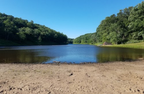 A serene lake surrounded by lush green trees under a clear blue sky, with a sandy shore in the foreground.