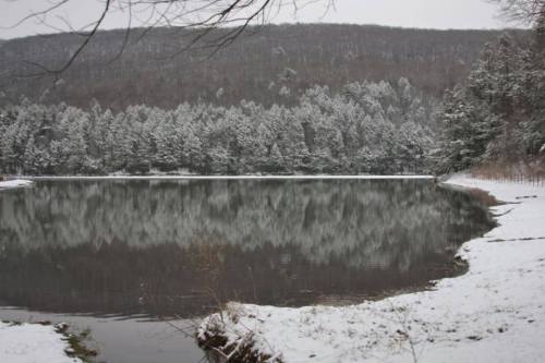 A serene winter landscape featuring a snowy lake surrounded by evergreen trees and a misty mountain backdrop.