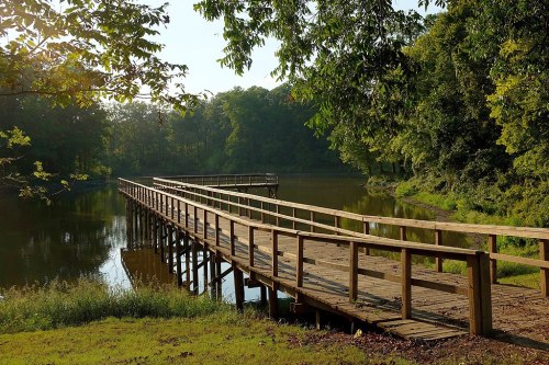 A wooden pier extends over a calm lake, surrounded by lush green trees and reflecting sunlight.
