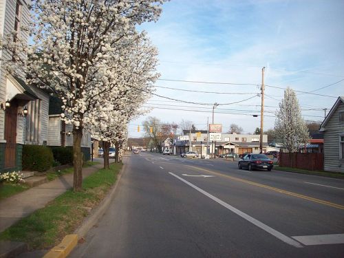 A quiet street lined with flowering trees, featuring shops and a car on the road under a clear blue sky.