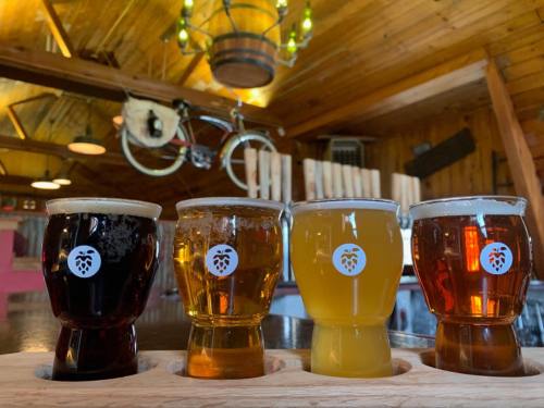 Four craft beer samples in small glasses on a wooden flight, set in a rustic brewery with wooden decor.
