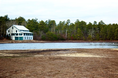 A rustic house by a calm lake, surrounded by trees and a sandy shore under a cloudy sky.