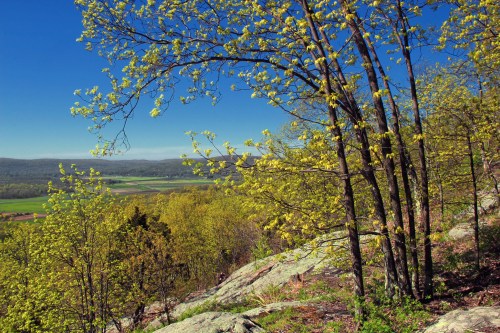 Lush green trees overlook a scenic valley under a clear blue sky, with rocky terrain in the foreground.