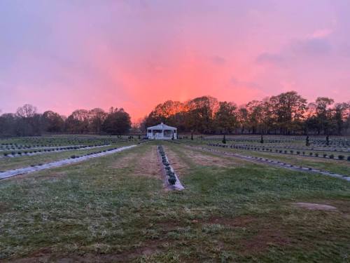 A serene cemetery at sunset, with rows of gravestones and a small white gazebo under a colorful sky.