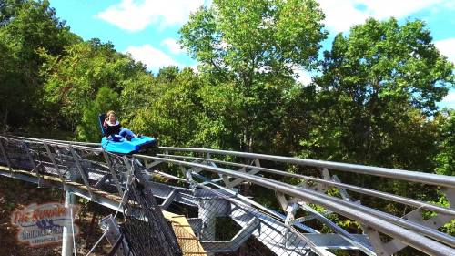 A person rides a blue alpine coaster on a track surrounded by green trees and a clear blue sky.