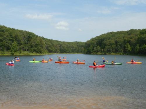 A group of people kayaking on a calm lake surrounded by green trees under a blue sky.