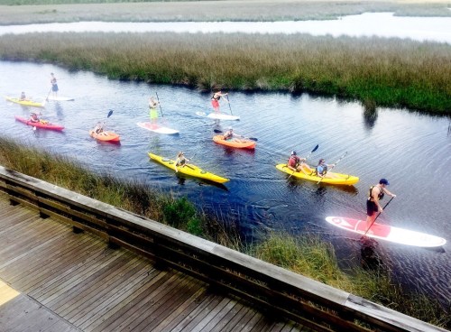 A group of people kayaking and paddleboarding in a calm waterway surrounded by tall grass.