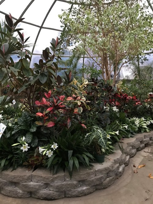 A lush greenhouse filled with various tropical plants, including colorful foliage and white lilies, arranged in a circular layout.