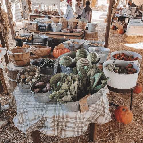 A rustic market stall filled with baskets of fresh vegetables and fruits, surrounded by hay and pumpkins.