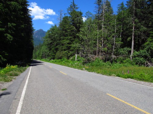 A quiet, empty road lined with tall trees and greenery, under a clear blue sky with a mountain in the background.