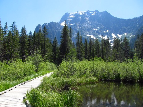 A wooden path leads through lush greenery, with a majestic snow-capped mountain in the background under a clear blue sky.