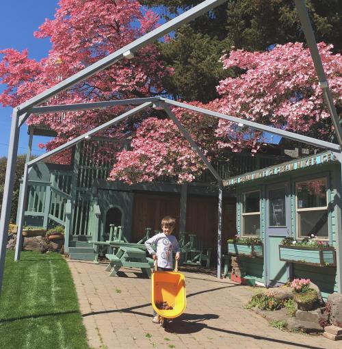 A child stands with a yellow wheelbarrow under blooming pink trees in a sunny backyard.