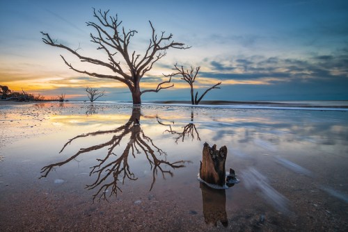 Silhouetted trees reflect in calm water at sunset, with a serene beach scene and soft clouds in the background.