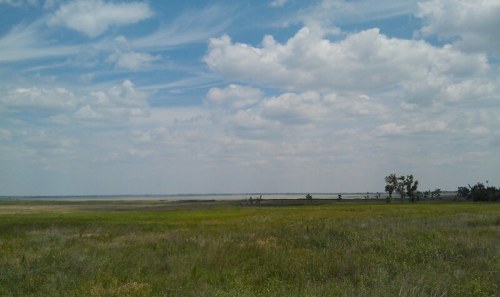 A wide, open landscape featuring green grass, a cloudy sky, and distant trees near a body of water.