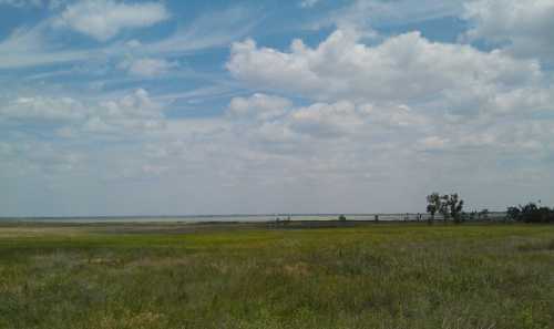 A wide, open landscape featuring green grass, a cloudy sky, and distant trees near a body of water.