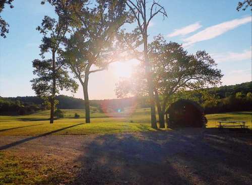A serene landscape with trees silhouetted against a bright sunset, casting long shadows on a grassy field.
