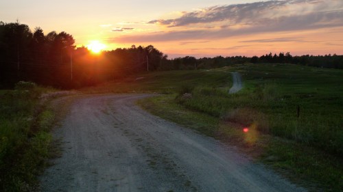 A winding dirt road leads into a sunset, surrounded by lush greenery and a peaceful landscape.