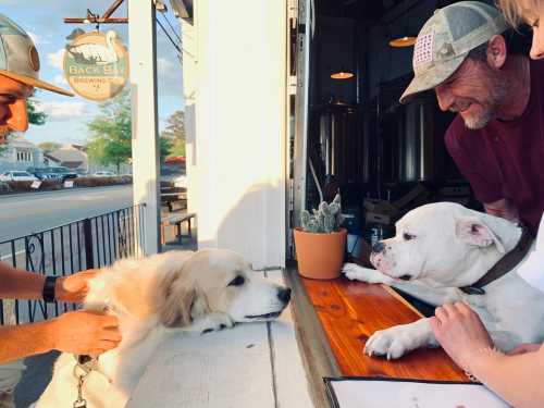 Two dogs at a window, one resting its head on the counter, while two people interact with them in a cozy setting.