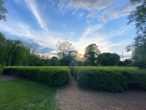 A pathway through tall hedges leads to a sunset sky with scattered clouds and trees in the background.