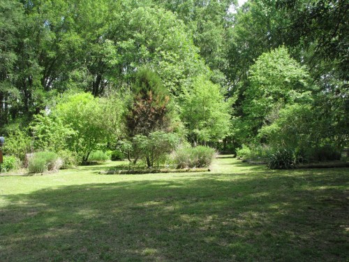 Lush green garden with trees and shrubs, featuring a clear path through the greenery under bright sunlight.
