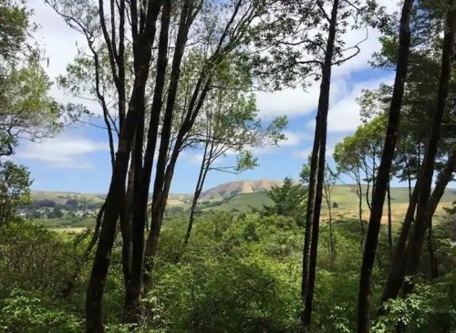 Lush green forest with tall trees, overlooking a valley and rolling hills under a partly cloudy sky.