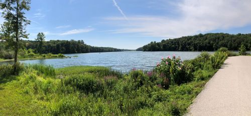 A serene lake surrounded by lush greenery and colorful flowers under a clear blue sky.
