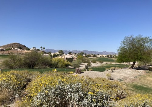 A scenic view of a golf course with wildflowers, desert landscape, and mountains under a clear blue sky.
