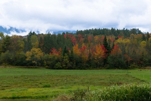A vibrant autumn landscape featuring colorful trees in shades of red, orange, and yellow against a cloudy sky.