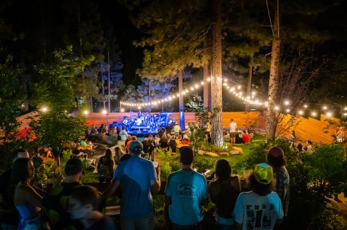 A lively outdoor concert at night, with a crowd enjoying music under string lights and surrounded by trees.