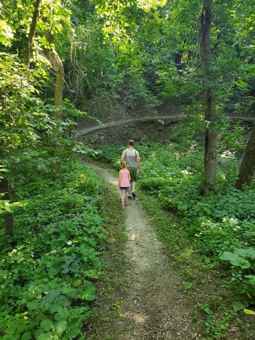 A man and a child walk along a narrow path through a lush, green forest.
