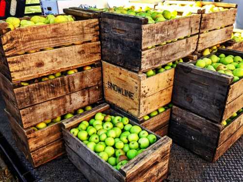 Wooden crates filled with green apples stacked together in a sunny outdoor setting.