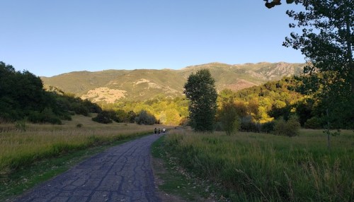 A scenic path through a grassy field, with mountains in the background and a few people walking in the distance.