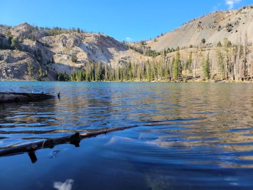 A serene lake surrounded by mountains and trees, with calm water reflecting the blue sky and distant hills.