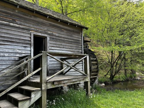 A weathered wooden building with a waterwheel, surrounded by lush green trees and grass near a flowing stream.