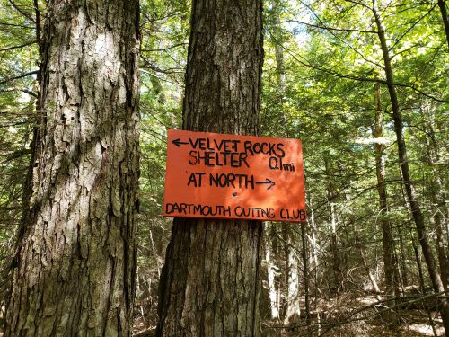 A wooden sign on a tree in a forest, indicating directions to Velvet Rocks Shelter, 0.1 miles at North.