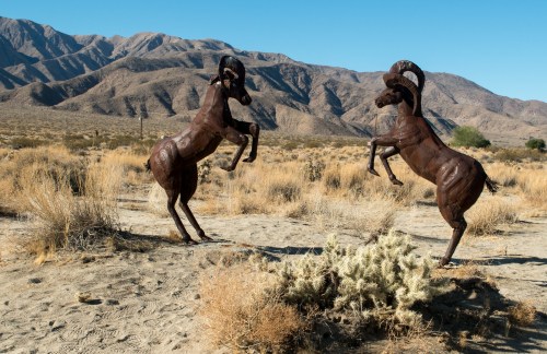 Two metal sculptures of rearing goats in a desert landscape with mountains in the background.