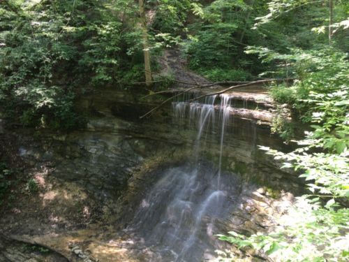 A serene waterfall cascading over rocky terrain, surrounded by lush green foliage in a tranquil forest setting.