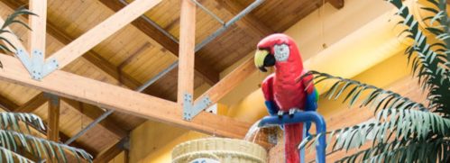 A colorful parrot statue perched on a blue pipe, surrounded by tropical plants in a wooden indoor setting.