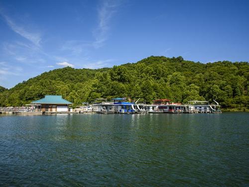 A serene lake scene with houseboats docked near a green hillside under a clear blue sky.