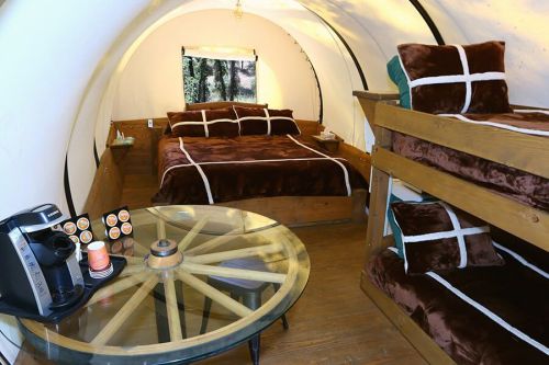 Cozy glamping interior with a double bed, bunk beds, and a coffee station in a circular tent.