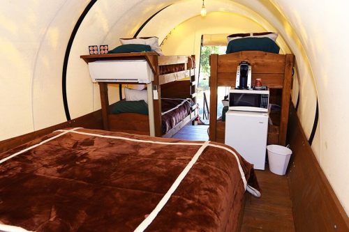Interior of a cozy cabin with bunk beds, a small fridge, and a coffee maker, featuring warm lighting and wooden accents.
