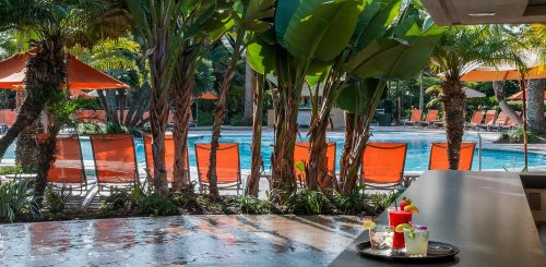 A poolside view featuring vibrant orange chairs, tropical plants, and colorful cocktails on a table.